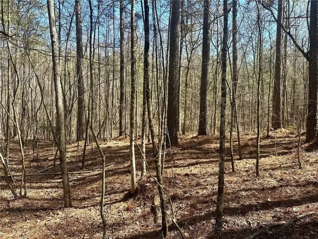 Picture 8