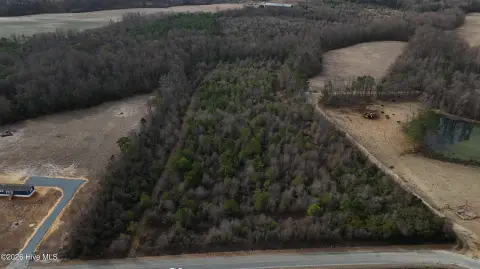 Secluded Wooded Acreage in Clinton, NC