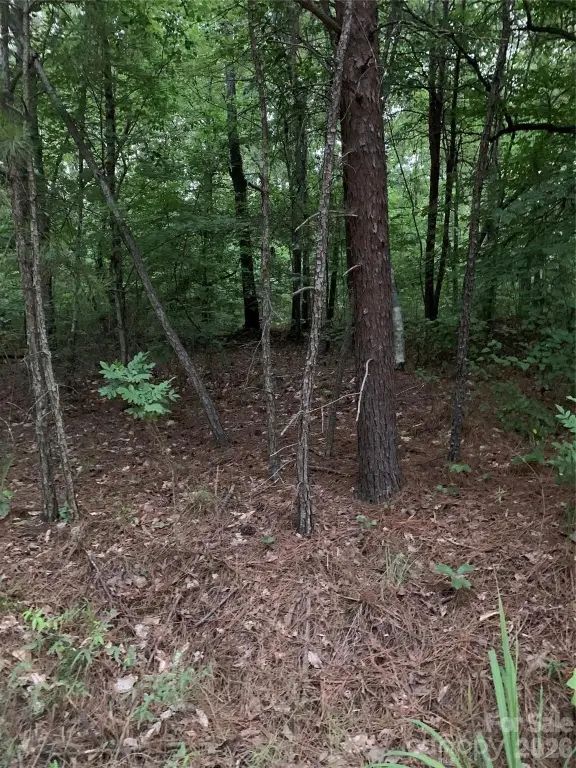 Picture 3