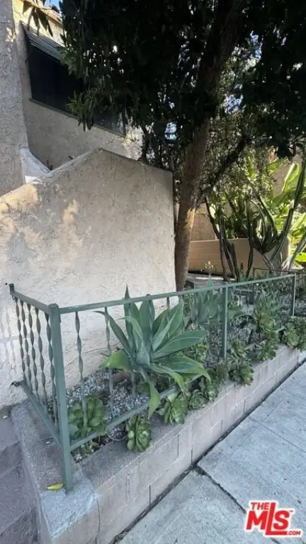 Picture 6