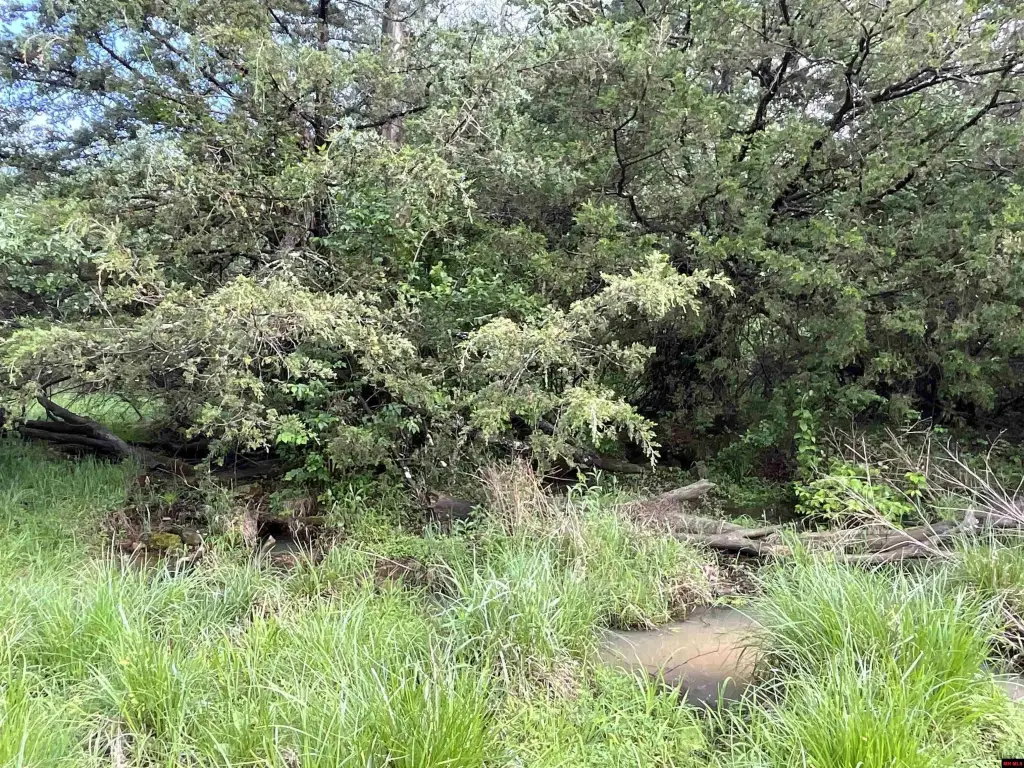 Picture 31