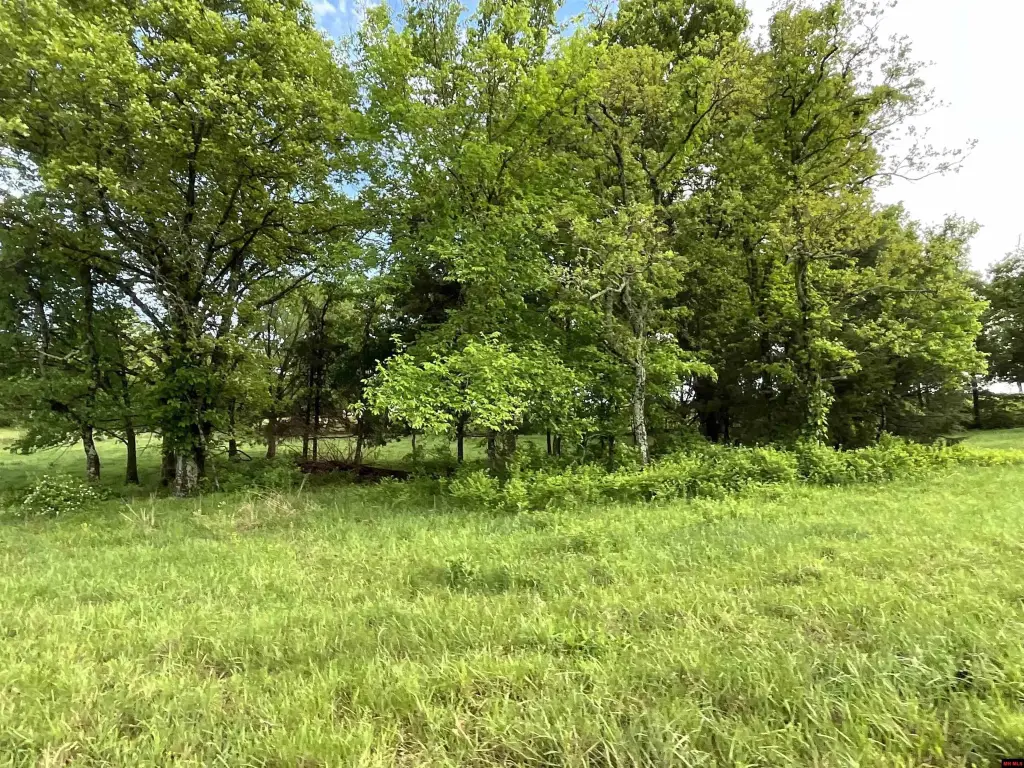 Picture 23