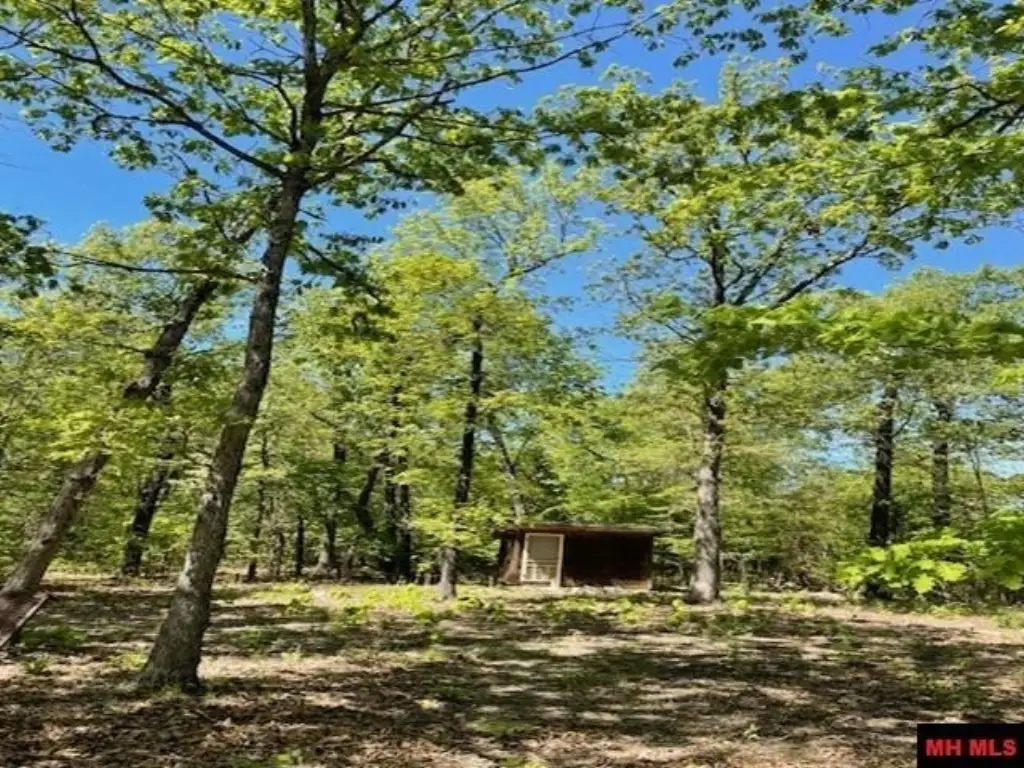 Picture 11
