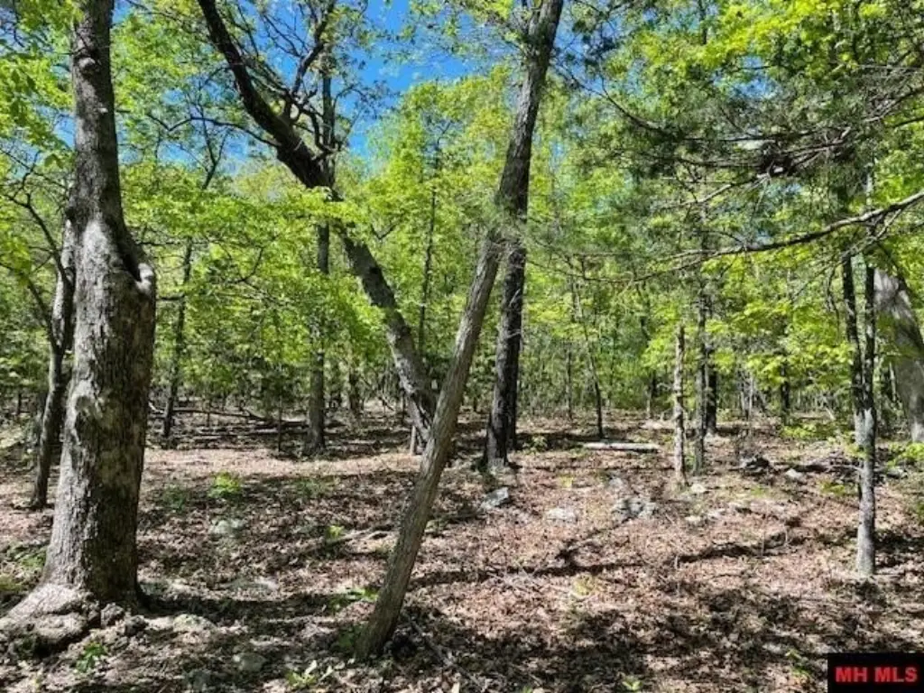 Picture 13