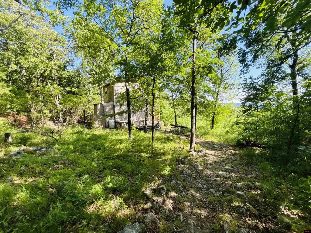 Picture 17