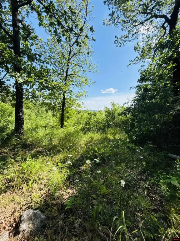 Picture 20