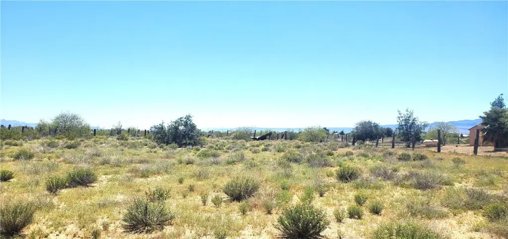 Picture 4