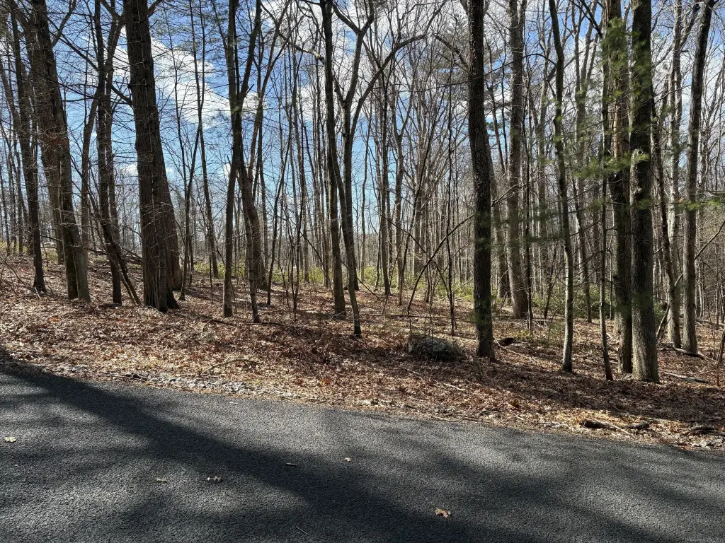 Picture 4