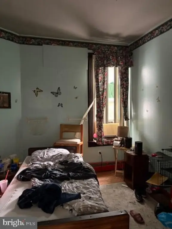 Picture 20