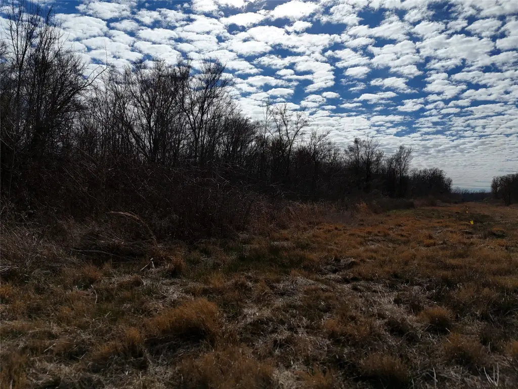 Picture 14