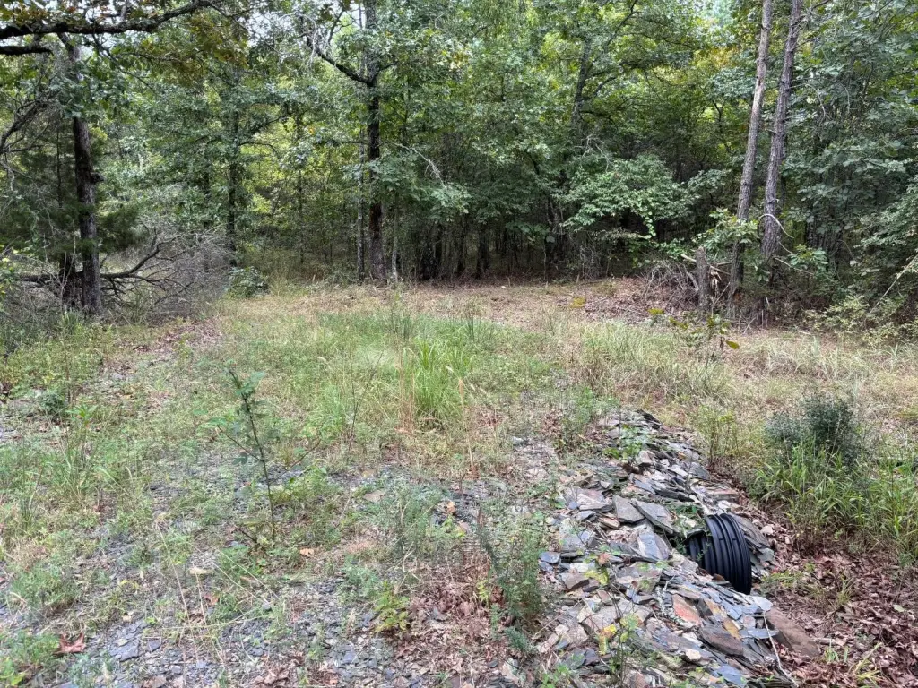 Picture 22