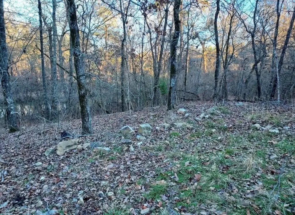 Picture 3