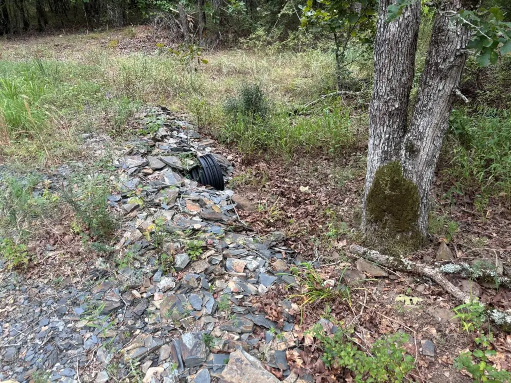Picture 20