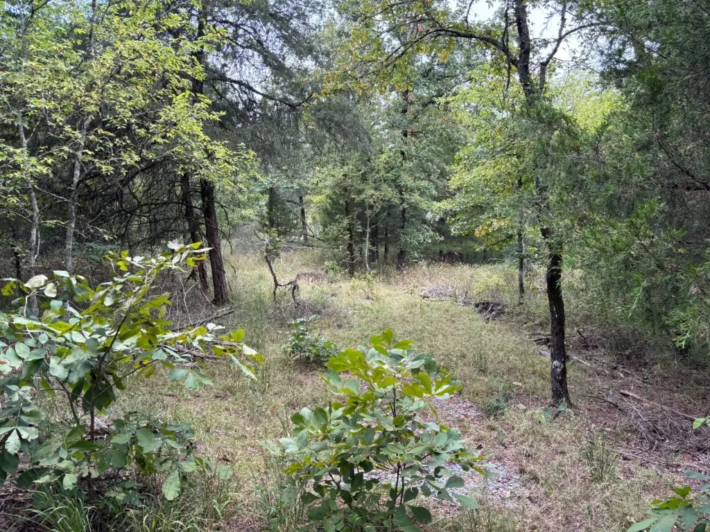 Picture 23