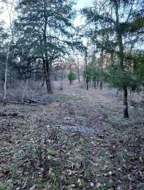 Picture 31