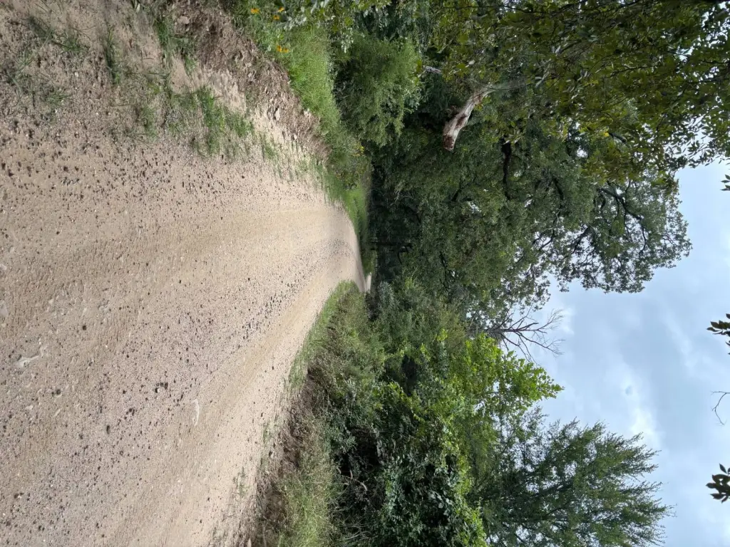 Picture 28