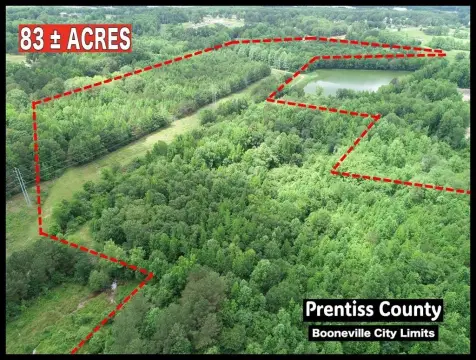 83 Acres in Booneville, MS