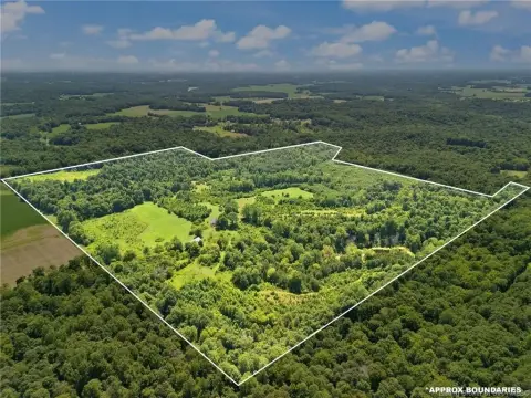 Hunting Land with Spring-Fed Pond