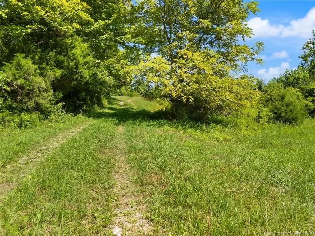 Picture 21