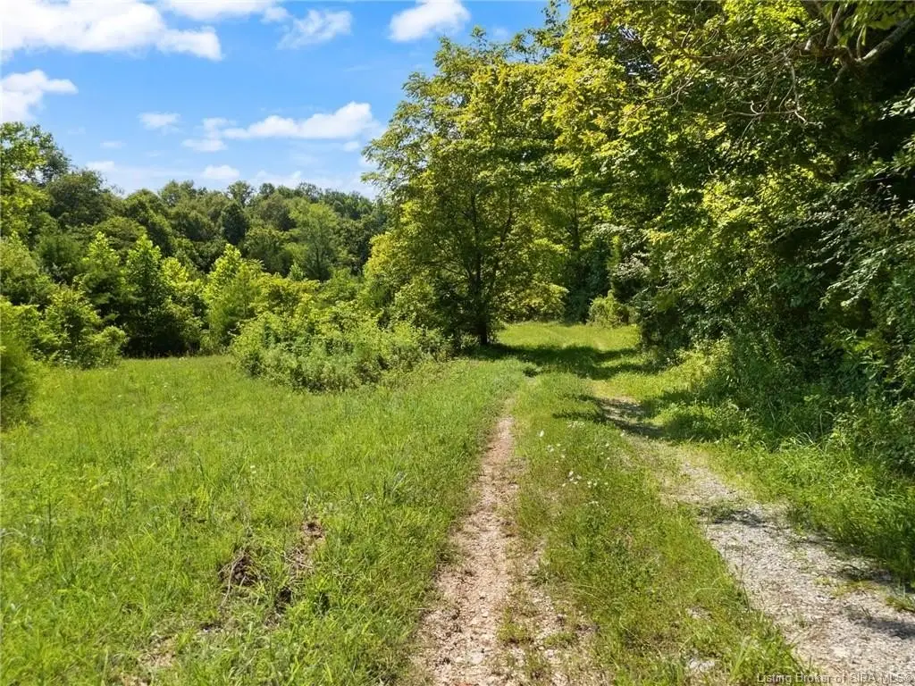 Picture 20