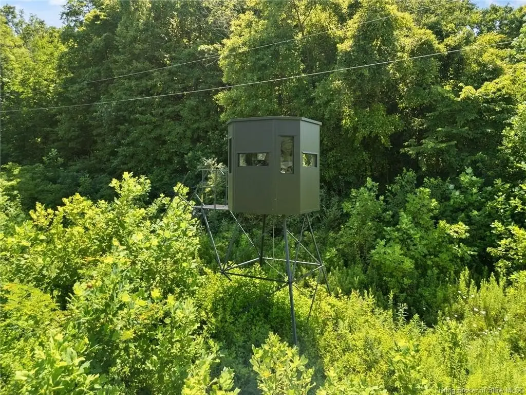Picture 5