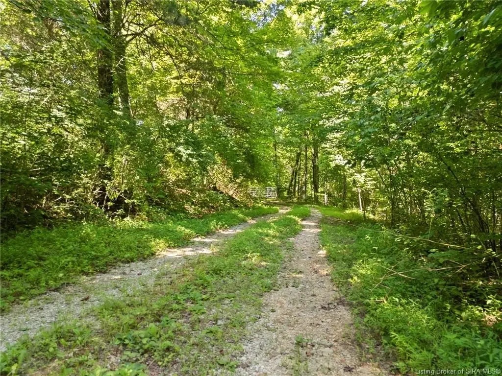 Picture 25
