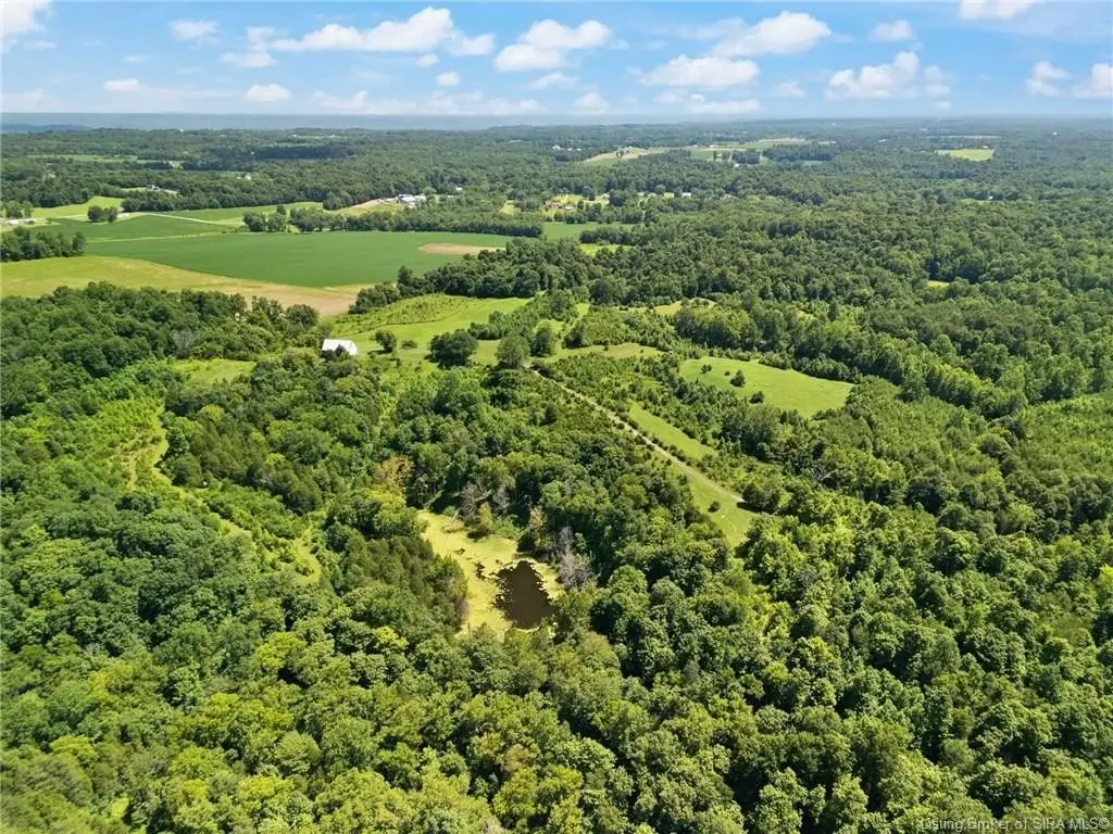 Picture 31