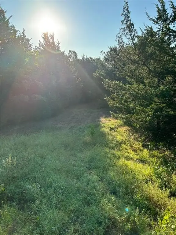 Picture 45