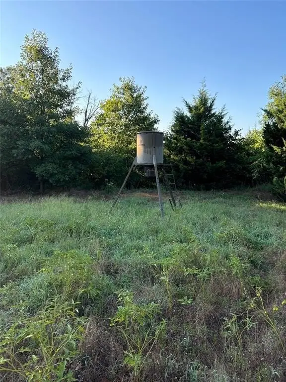 Picture 47