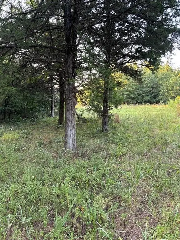 Picture 40