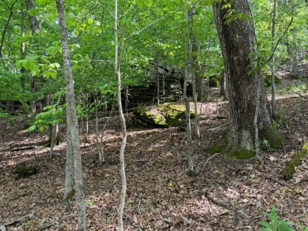 Picture 4