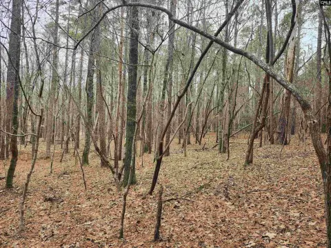 Large Wooded Parcel Near Lake