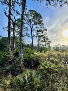 Residential Lot Near Gulf Beaches