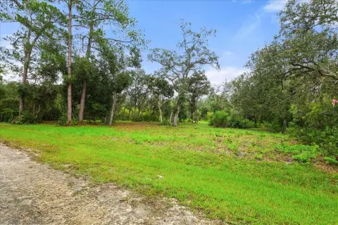 Webster, FL 1.65-Acre Land Parcel
