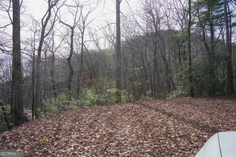 Land with Mountain View