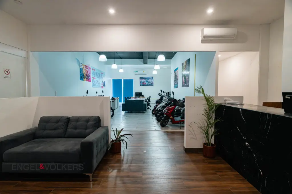 Picture 14