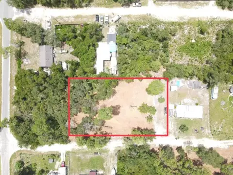 Cleared Land in Paisley, Florida