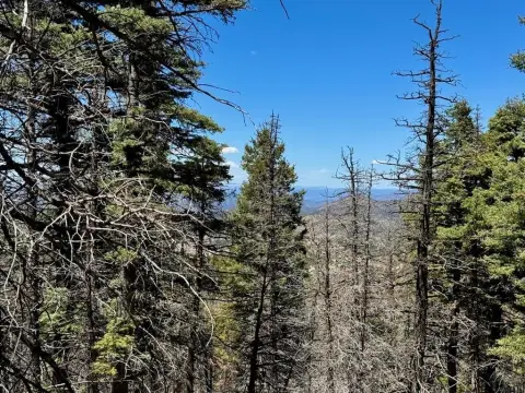 Westcliffe, CO Hunting Land