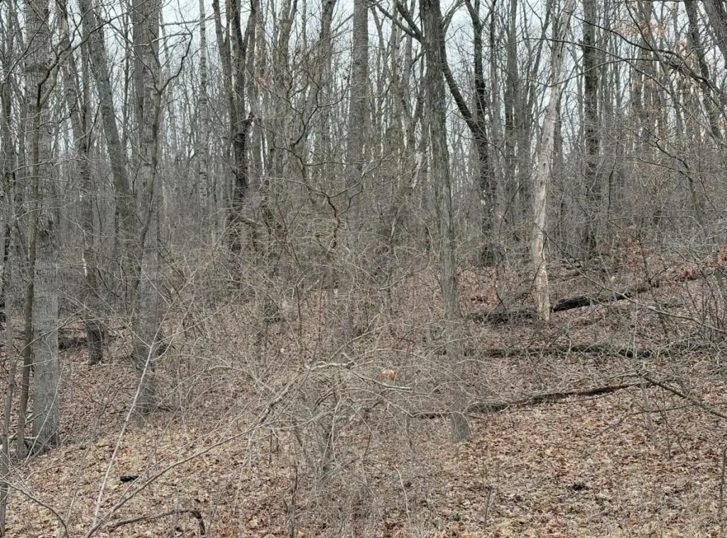 Picture 2