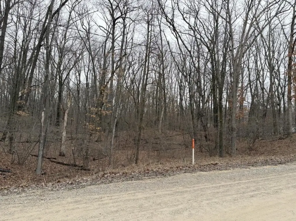 Picture 3