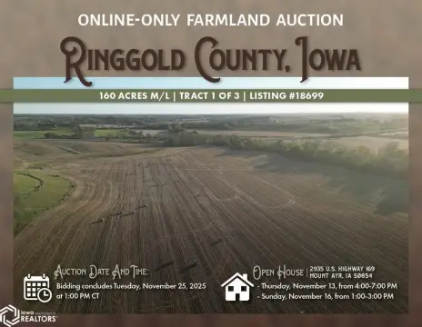 Ringgold County Farmland Auction