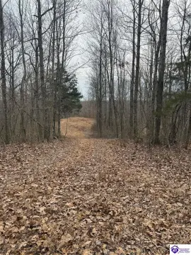 Secluded Hunting Land Near Hodgenville