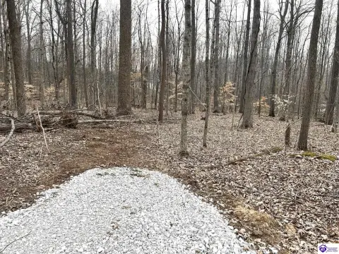 Hodgenville Land with Lake View