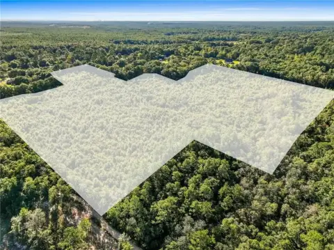 31.70 Acres of Unimproved Land