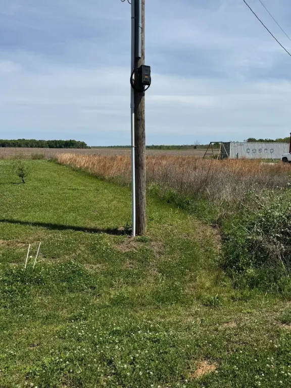 Picture 21