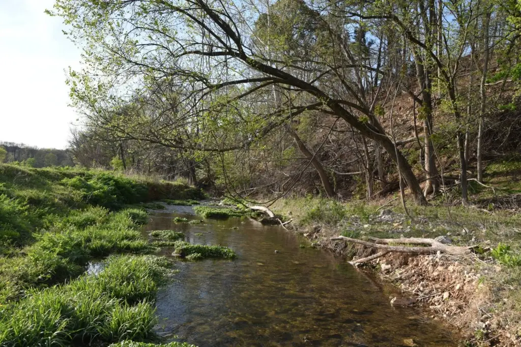 Picture 23