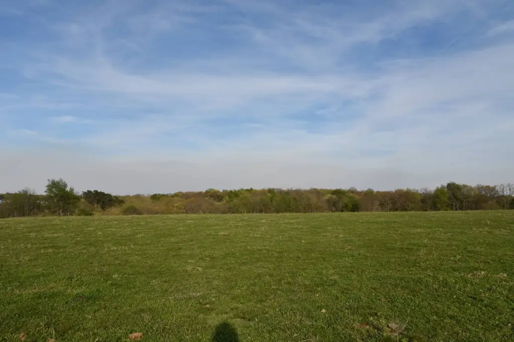 Picture 27