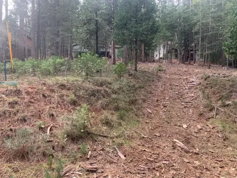 Residential Lot in Blue Lake Springs