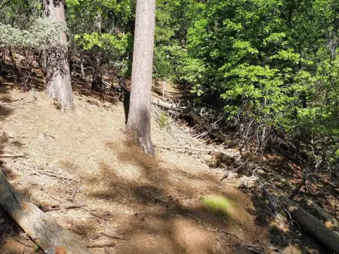 Residential Lot with Mountain Views