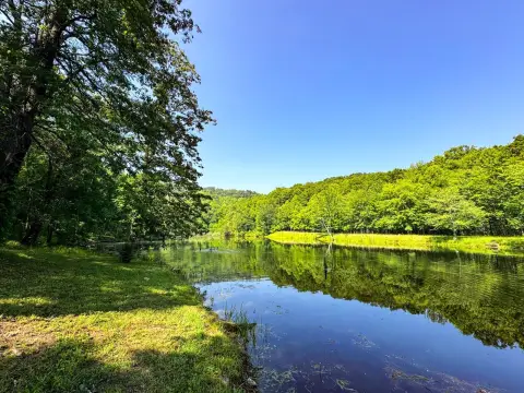 Duff, TN Vacant Land